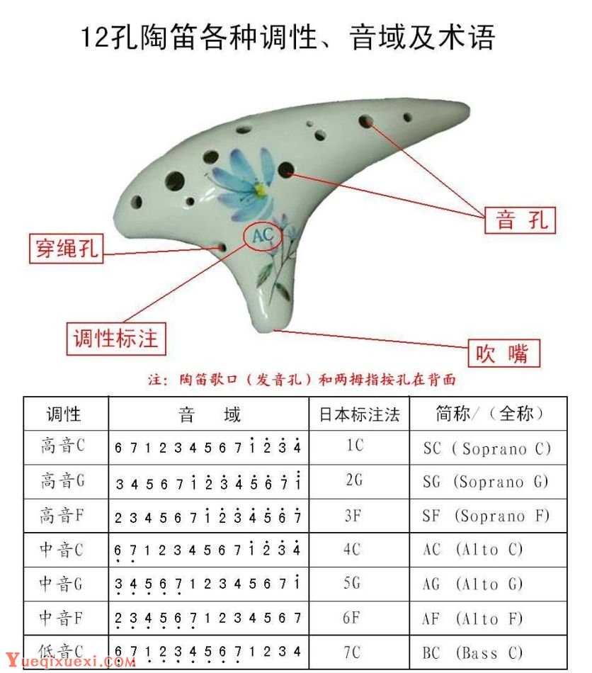 短笛音域表图片